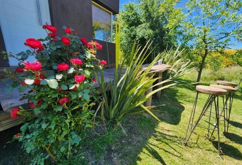 Общежитие Altitud 410