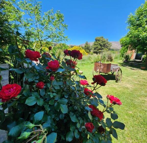 Общежитие Altitud 410