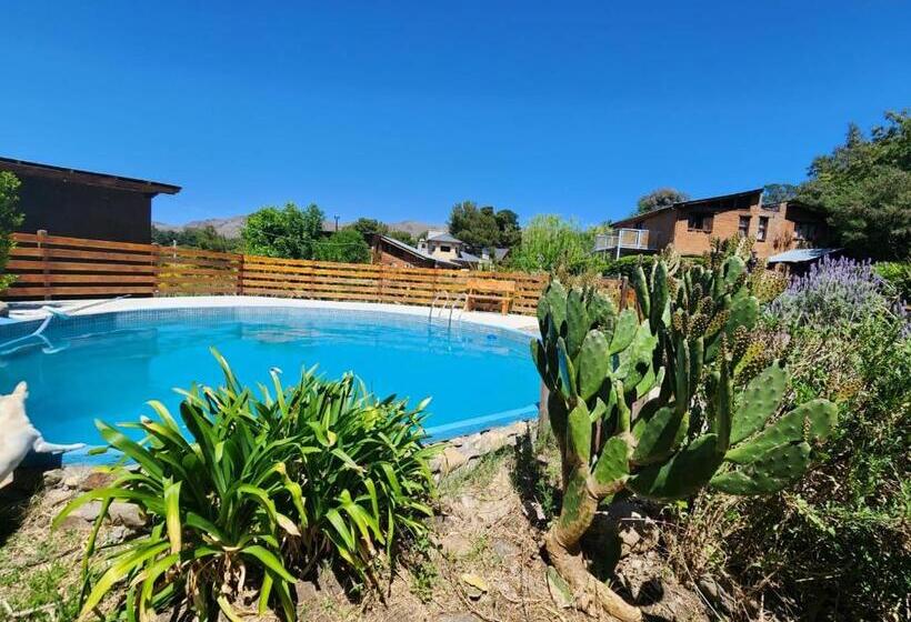 Общежитие Altitud 410