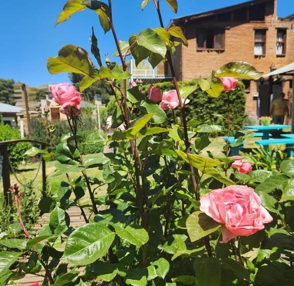 Общежитие Altitud 410