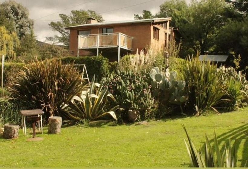 Общежитие Altitud 410