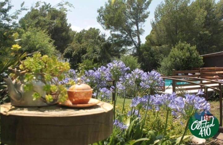 Общежитие Altitud 410