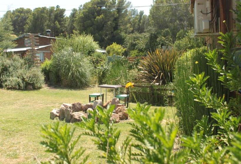 Общежитие Altitud 410