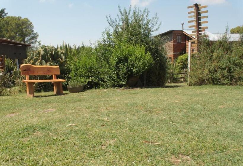 Общежитие Altitud 410