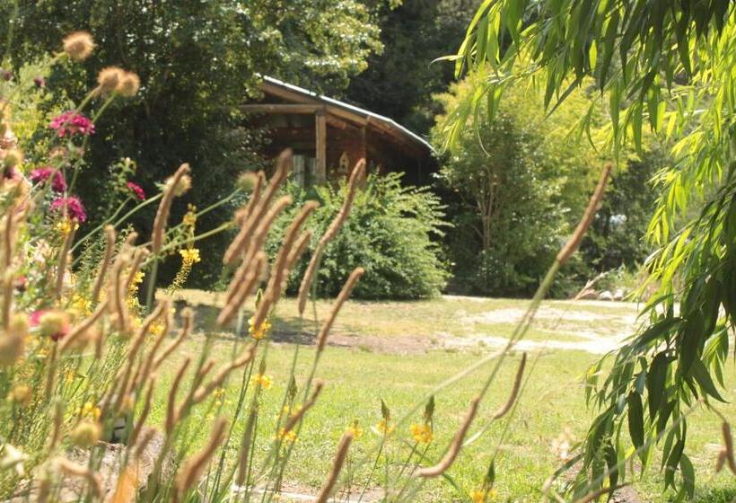 Общежитие Altitud 410