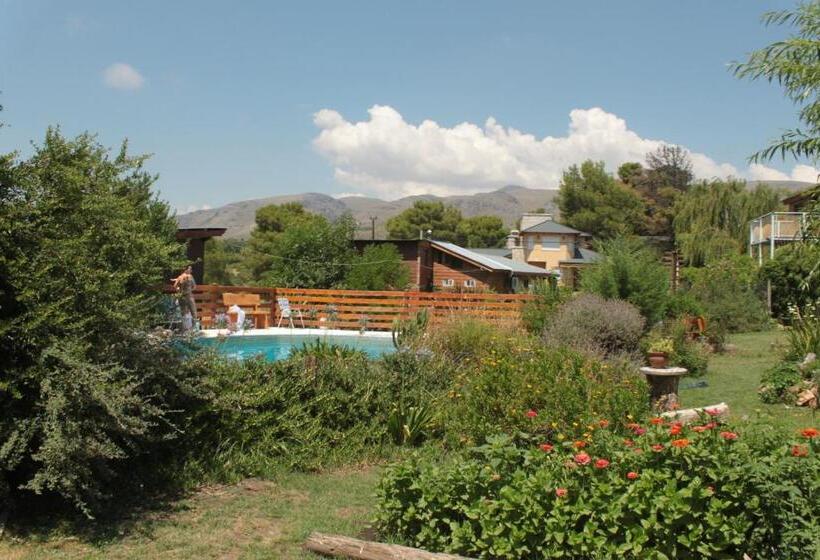 Общежитие Altitud 410