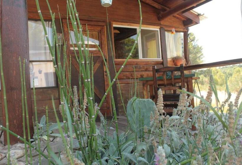 Общежитие Altitud 410