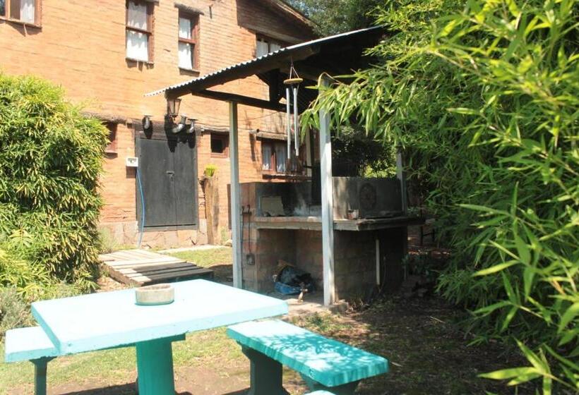 Общежитие Altitud 410