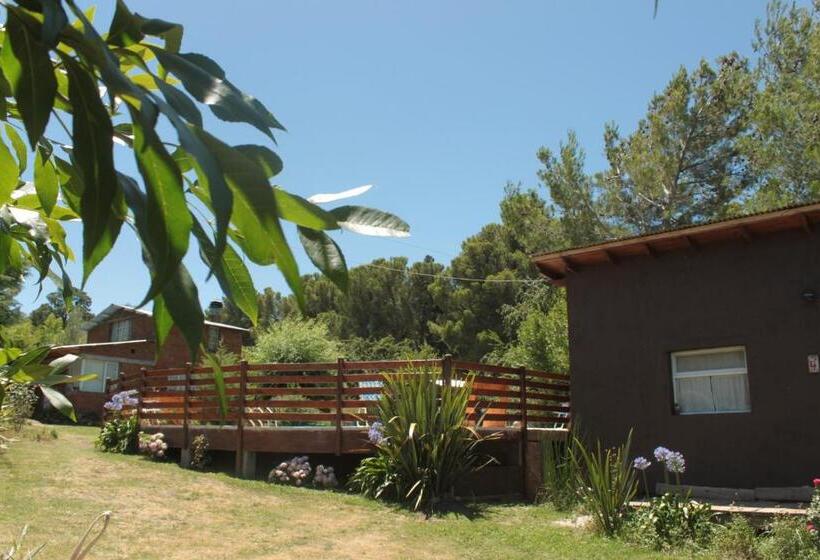 Общежитие Altitud 410