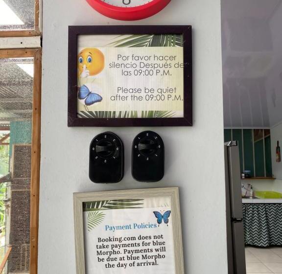 Blue Morpho House B&b