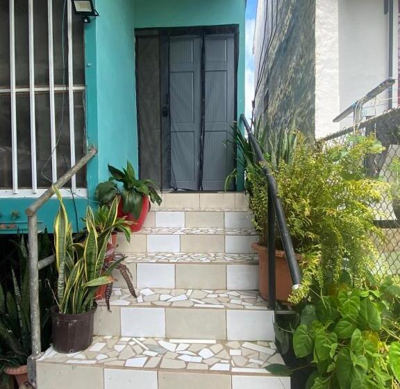 Blue Morpho House B&b