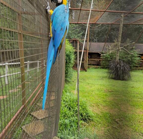 فندق Silver Mist Resort, Haenertsburg