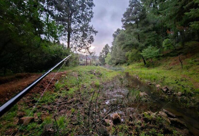 فندق Silver Mist Resort, Haenertsburg