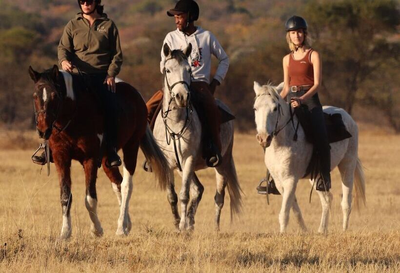 فندق Waterberg Cottages, Private Game Reserve