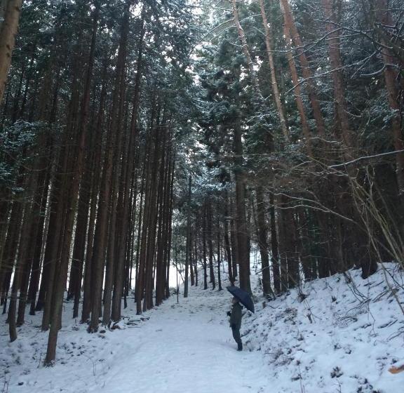 פנסיון Anzuan Nishida