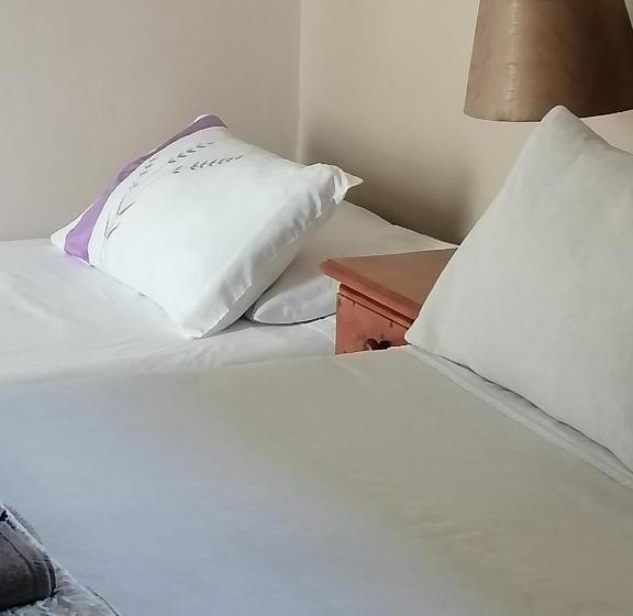 פנסיון Aviento Guesthouse