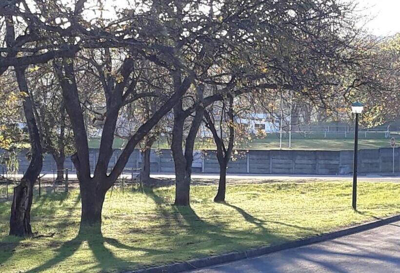 פנסיון Aviento Guesthouse