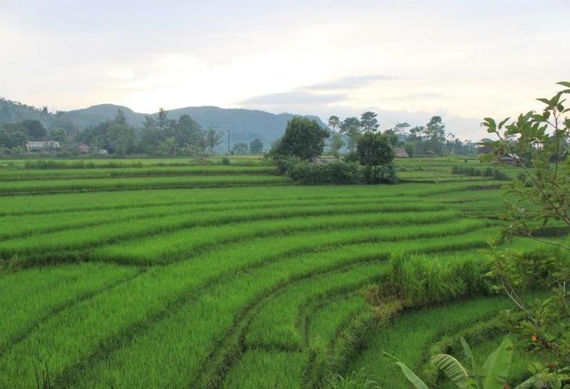 פנסיון Bebek Biru