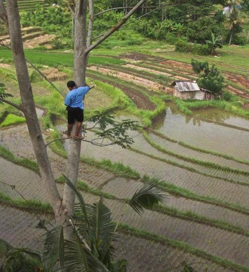 פנסיון Bebek Biru