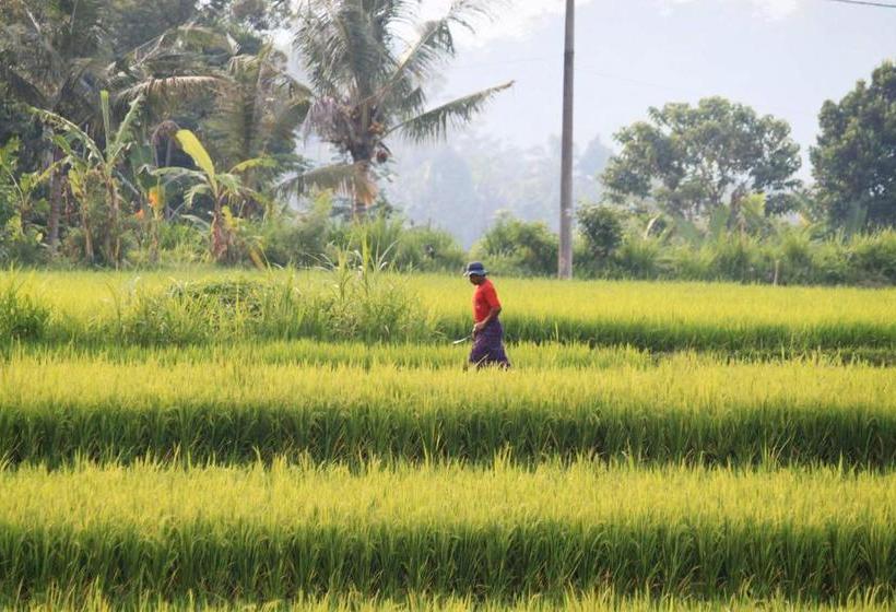 פנסיון Bebek Biru