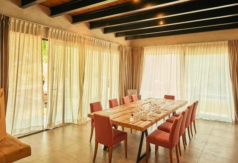 بنسيون Casa De Huéspedes Bodega Gimenez Riili
