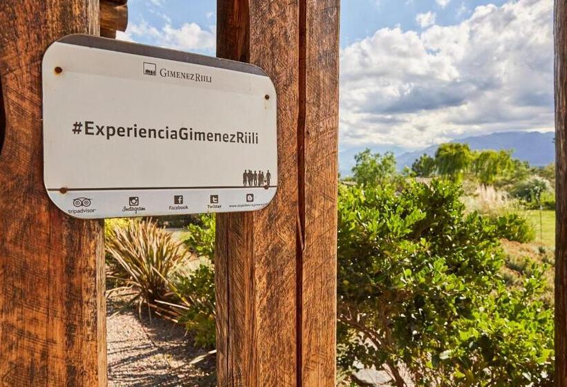 بنسيون Casa De Huéspedes Bodega Gimenez Riili