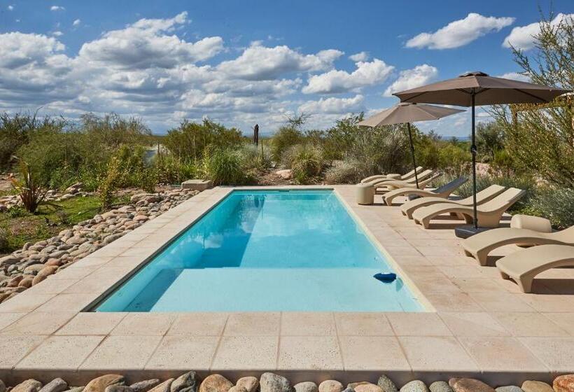 بنسيون Casa De Huéspedes Bodega Gimenez Riili