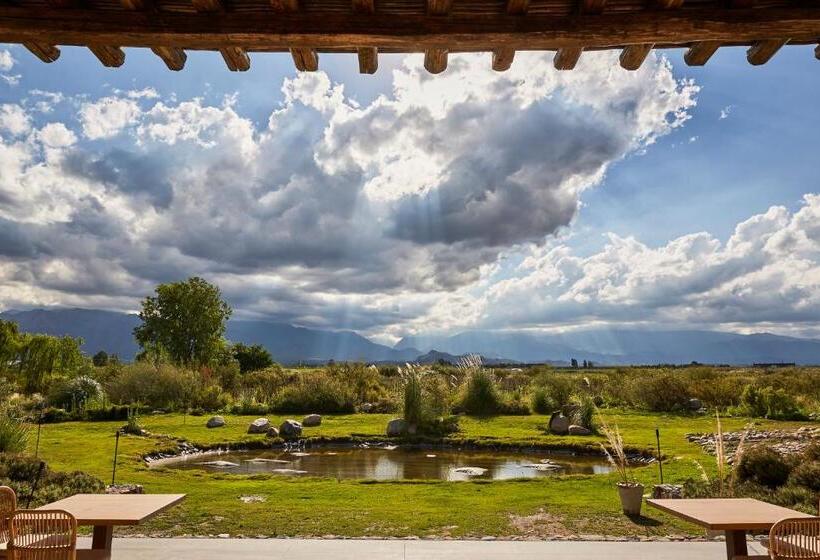 بنسيون Casa De Huéspedes Bodega Gimenez Riili