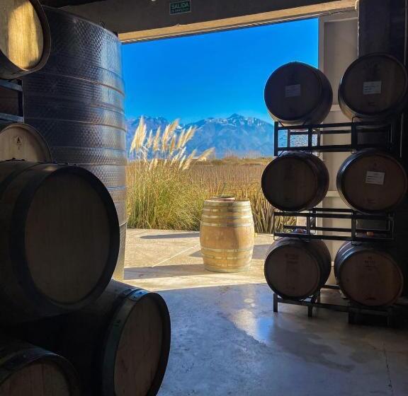 بنسيون Casa De Huéspedes Bodega Gimenez Riili