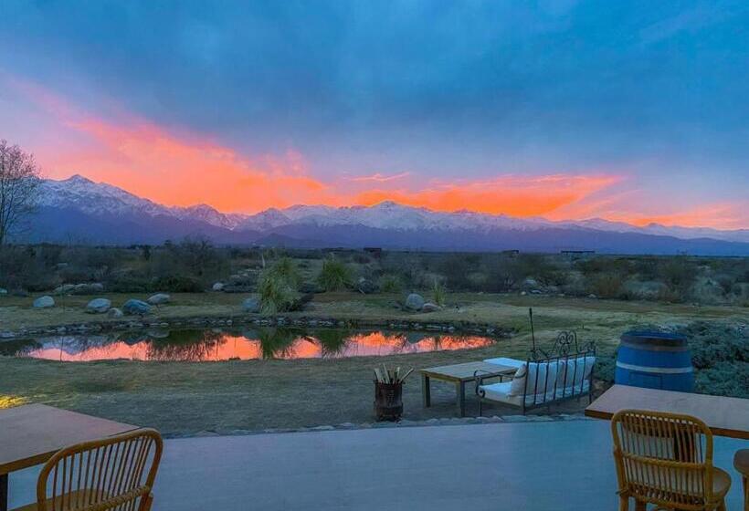 بنسيون Casa De Huéspedes Bodega Gimenez Riili