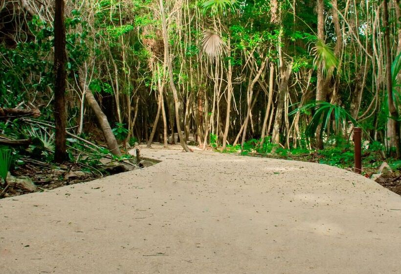 پانسیون Casa Tortuga Tulum Cenotes Park Inclusive