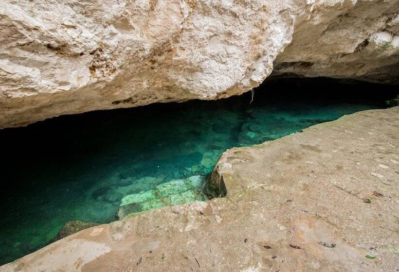 پانسیون Casa Tortuga Tulum Cenotes Park Inclusive