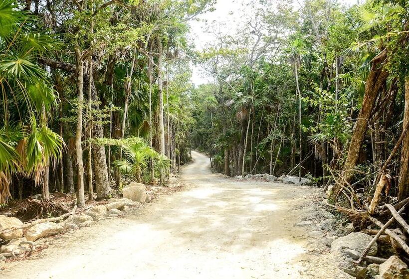 پانسیون Casa Tortuga Tulum Cenotes Park Inclusive