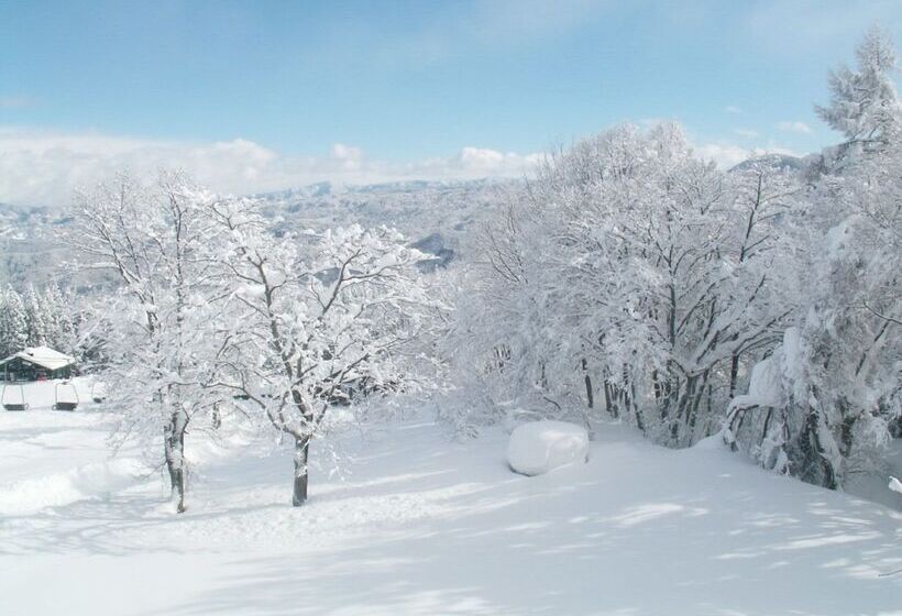بنسيون Edelweiss Akakura