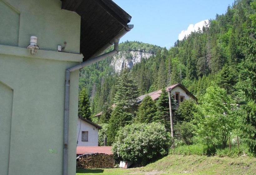 פנסיון Penzión Borovica