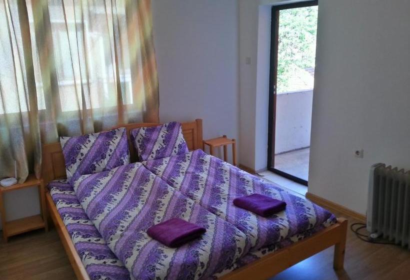 بنسيون Guest House Zora