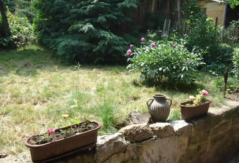 بنسيون Guest House Zora