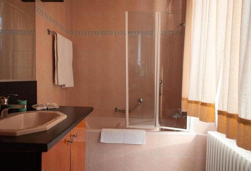 פנסיון Hôtel De L Ours