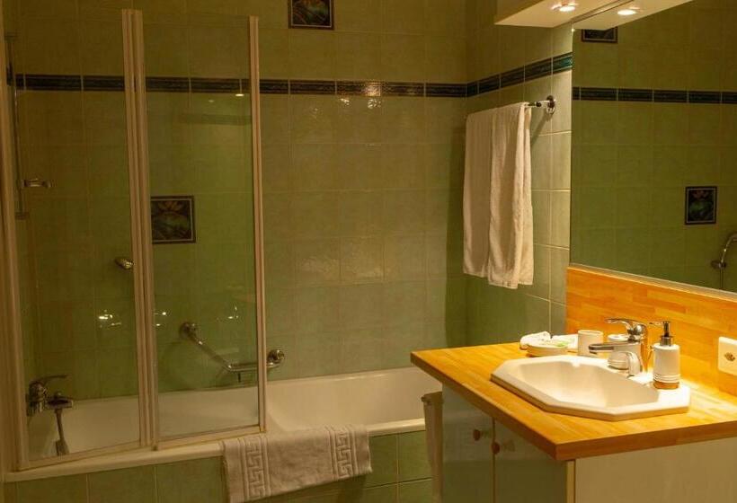 פנסיון Hôtel De L Ours