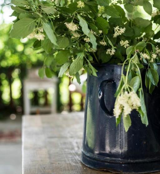 Пансион Liget Vendégház