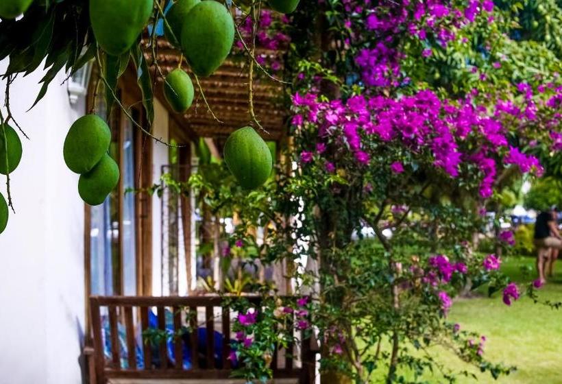 פנסיון Pé Na Areia   Lá Em Casa