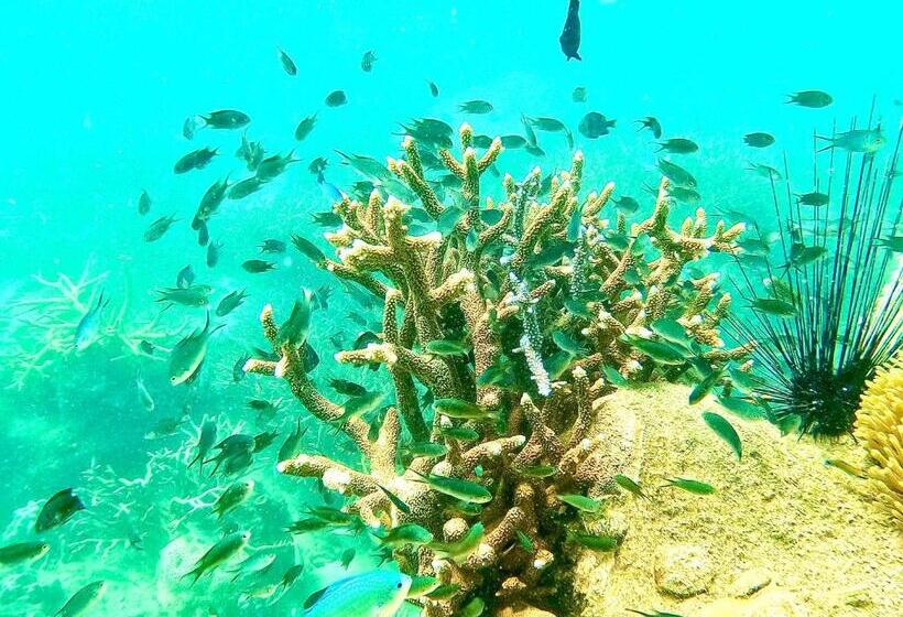 بنسيون Pd Guesthouse