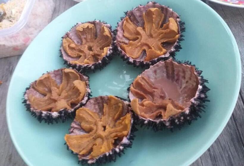 بنسيون Pd Guesthouse