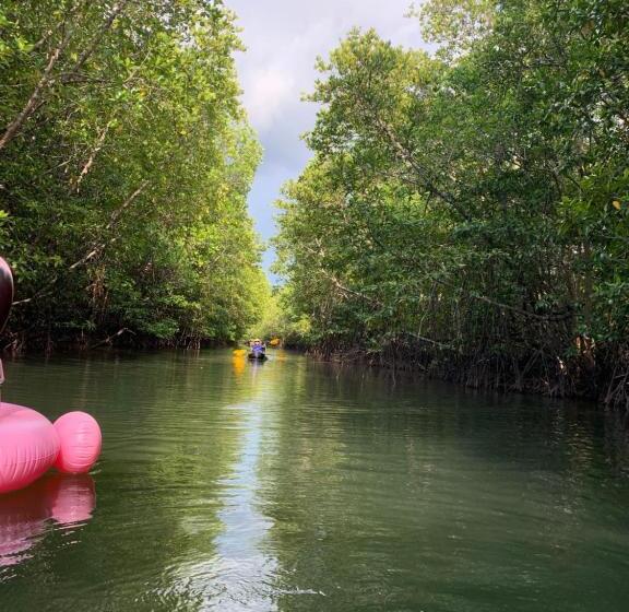 بنسيون Pd Guesthouse