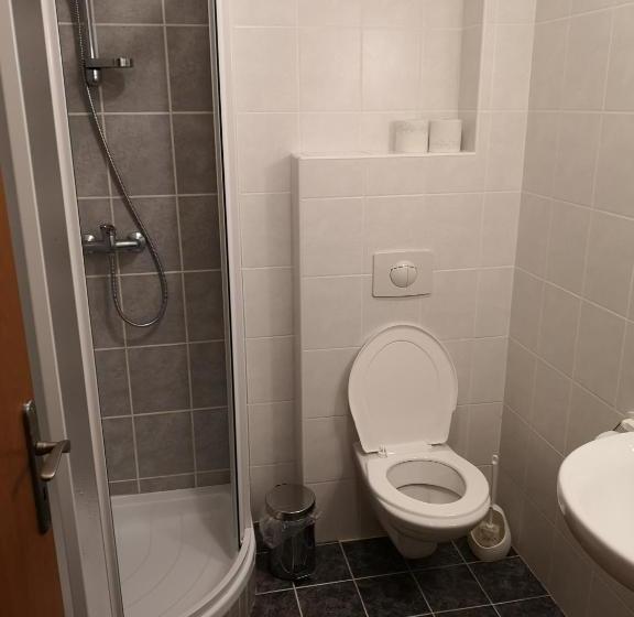 פנסיון Riegrova Chata Kozákov