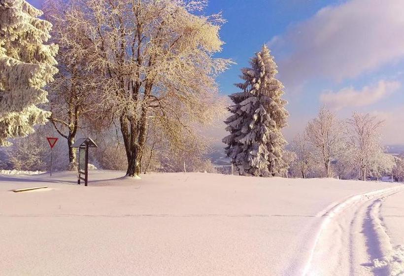 Пансион Riegrova Chata Kozákov