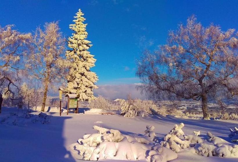 פנסיון Riegrova Chata Kozákov