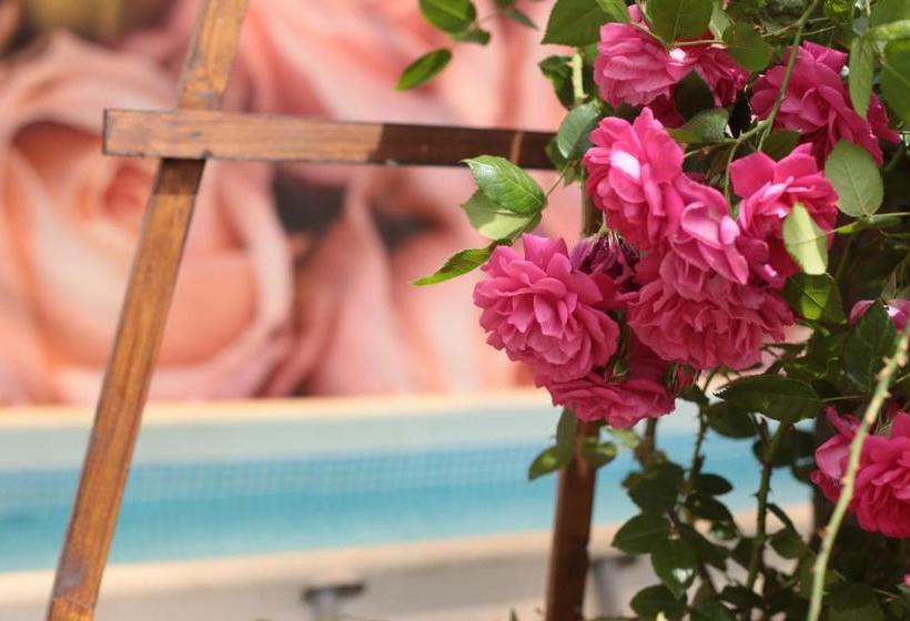 پانسیون Roza Guest House