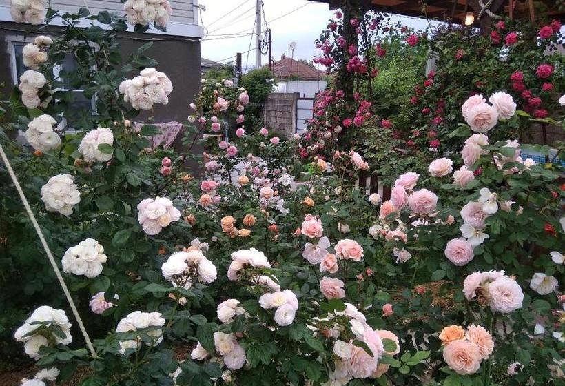 پانسیون Roza Guest House