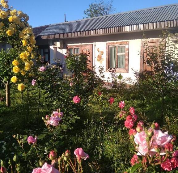 پانسیون Roza Guest House